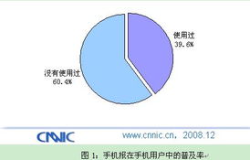中國互聯(lián)網(wǎng)絡(luò)信息中心（CNNIC）在計算機(jī)軟硬件技術(shù)研發(fā)中的戰(zhàn)略角色與創(chuàng)新實踐